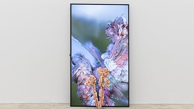 Vídeo de la serie  'The Garden I Will Never Get To Have' en Tuesday to Friday