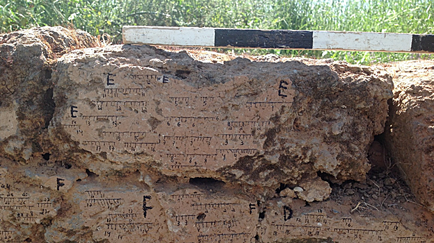 Pared de ladrillos de barro quemado de Tel Batash (Timnah bíblica) con marcas de la orientación del campo.
