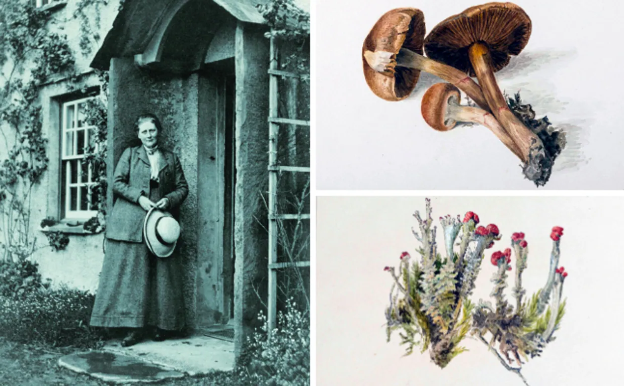 Beatrix Potter, la micóloga: por qué Petter Rabbit fue un