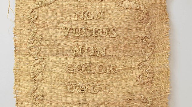 Estandarte 'Non Vultus Non Color Unus'