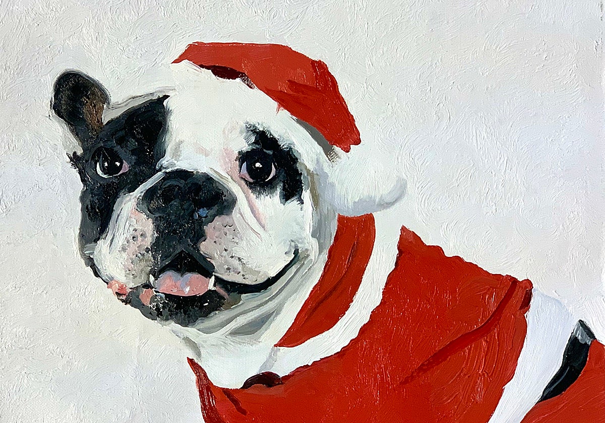 Regalos como caídos del cielo