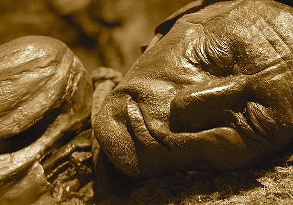 Hombre de Tollund, uno de los ejemplos más célebres de las momias del pantano