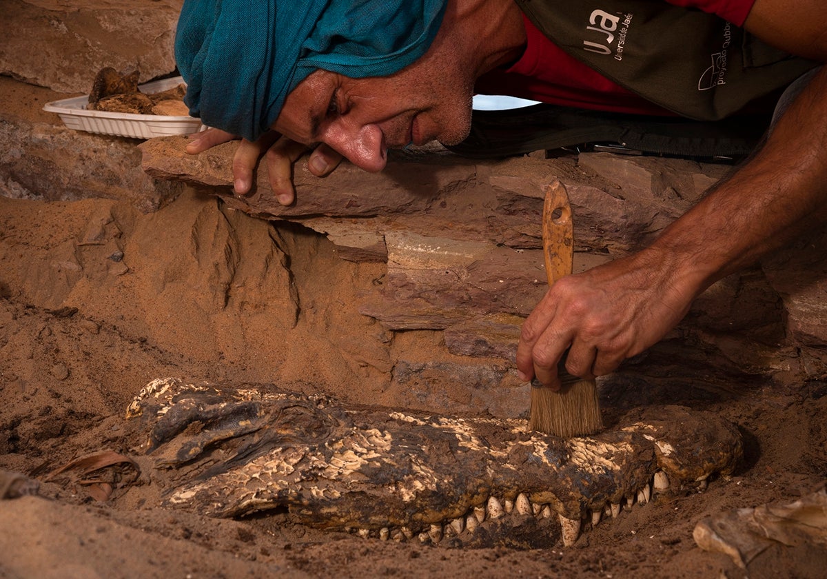 Trabajos arqueológicos en la tumba de la necrópolis de Qubbet el-Hawa