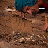 La rareza descubierta por arqueólogos españoles en Egipto: hallan una tumba con 10 momias de cocodrilos