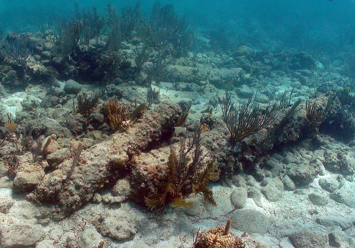 Piezas de artillería del pecio 40 Cañones de Banco Chinchorro (México)