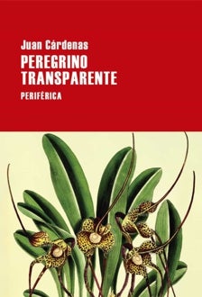 Imagen - 'Peregrino transparente'