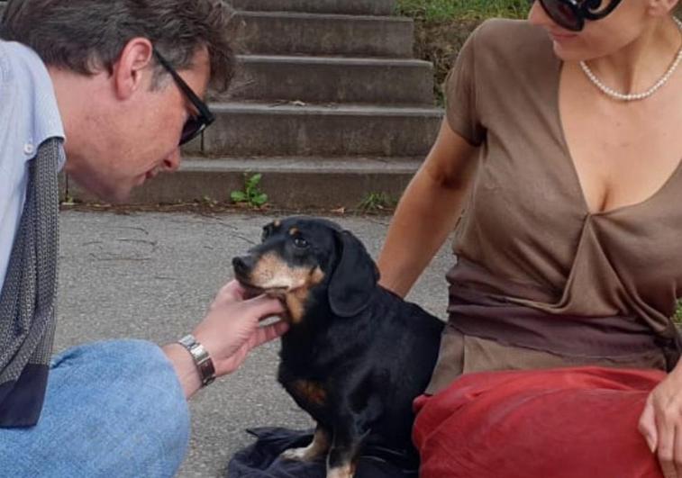 Un director del ballet alemán restriega heces de perro en la cara a una periodista tras una mala crítica
