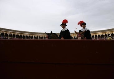 La Feria de Abril y la televisión