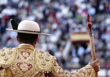Modernizar la Fiesta de los toros