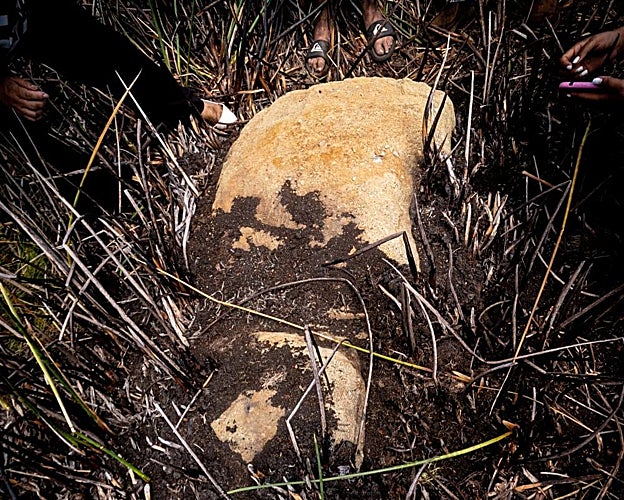 Otra perspectiva del hallazgo