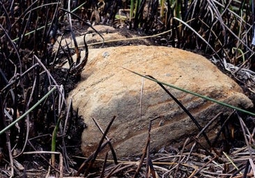 Sale a la luz un nuevo moai al secarse la laguna de un cráter en la Isla de Pascua