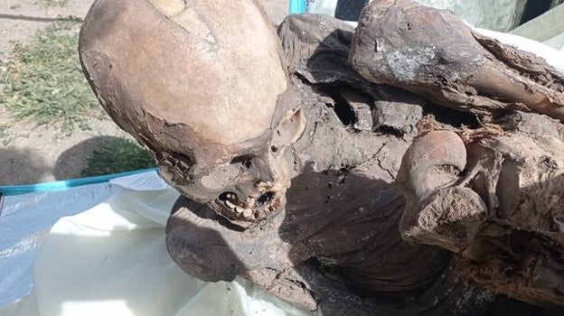 La momia ha sido identificada como un hombre adulto que vivió hace entre 600 y 800 años