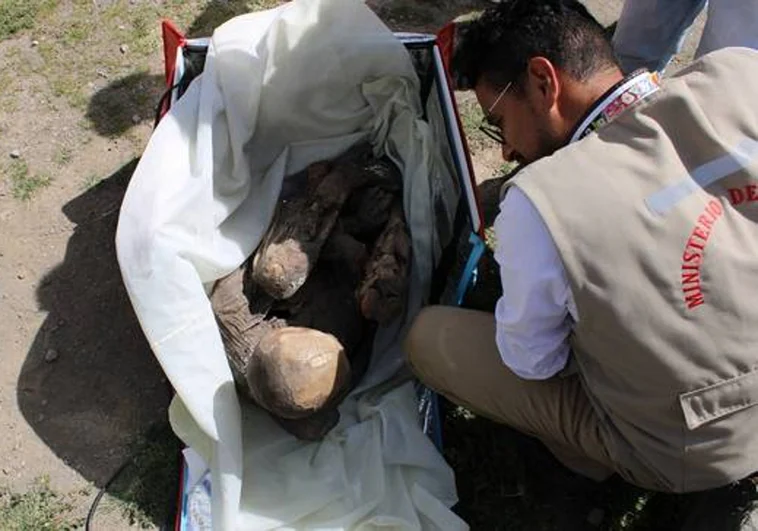 Hallan una momia prehispánica en la bolsa térmica de un repartidor en Perú