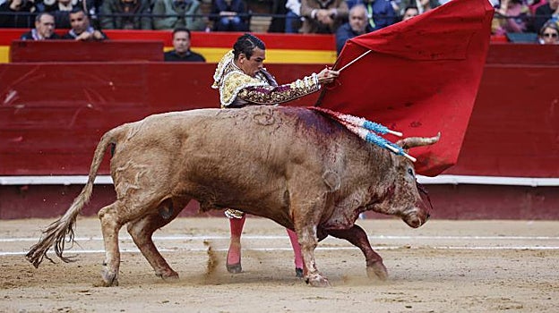 Manzanares, en un pase de pecho al segundo