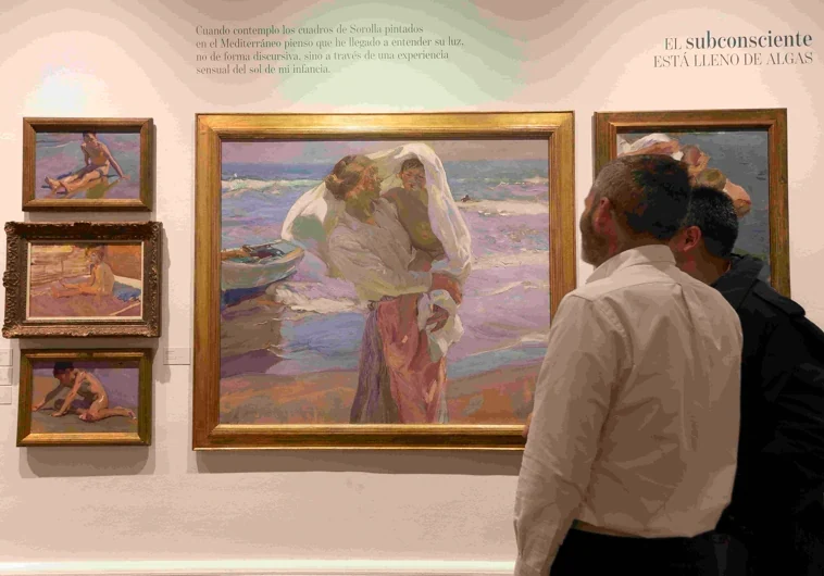 'En el mar de Sorolla con Manuel Vicent', un paseo poético por la luz y la memoria