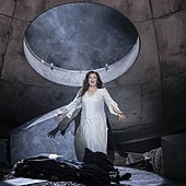 Tristán es un héroe en Valencia