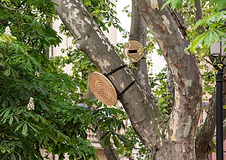 Imagen secundaria 1 - Arriva, 'Una mesa elevada en el paisaje', de J. Alvarado y Á. González. Sobre estas líneas, los proyectos 'Casas para pájaros' y 'Me como el mundo'