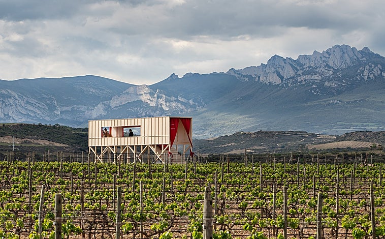 Imagen principal - Arriva, 'Una mesa elevada en el paisaje', de J. Alvarado y Á. González. Sobre estas líneas, los proyectos 'Casas para pájaros' y 'Me como el mundo'