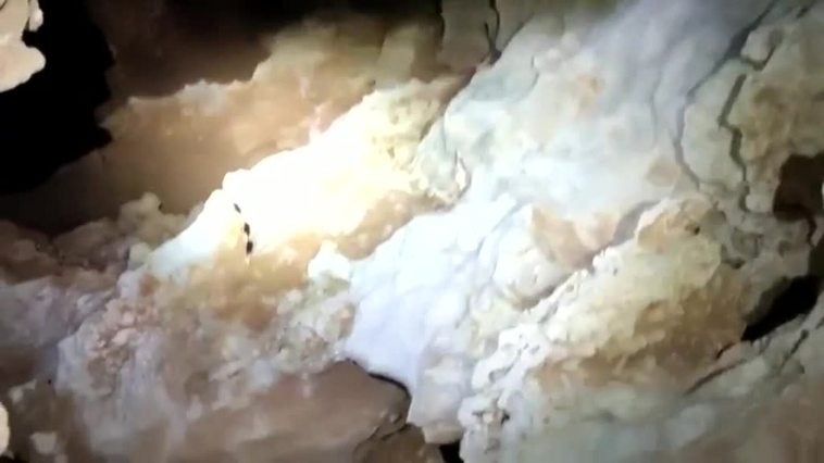 Descubierta una nueva cueva en Rincón de la Victoria, en Málaga