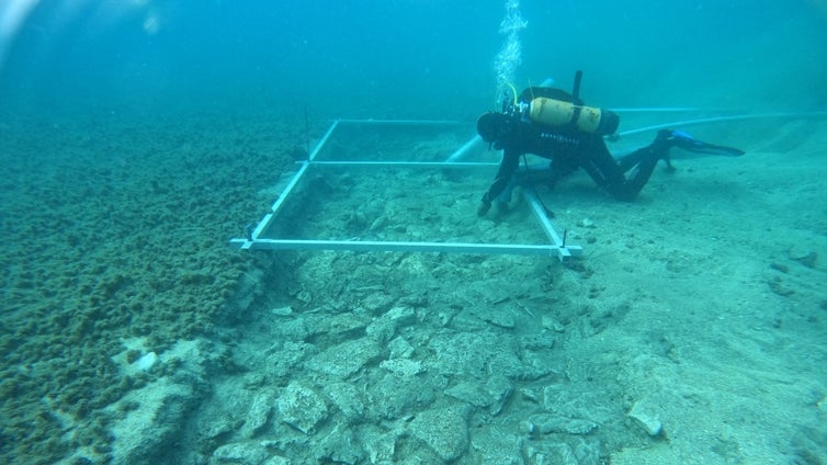 Encuentran una calzada y una aldea neolíticas de más de 7.000 años: está bajo las aguas de una isla de Croacia