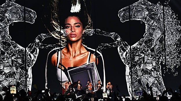 Israel acepta unicornio como animal de compañía