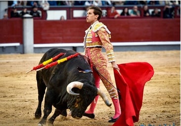 Ginés Marín: cuando torean la cabeza y el corazón