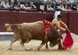 San Isidro en directo: Morante, El Juli y Rufo, con toros de Alcurrucén