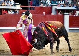 Pablo Aguado: «Poder torear un toro con el capote en Madrid, y poder escuchar a la gente así es muy gratificante»
