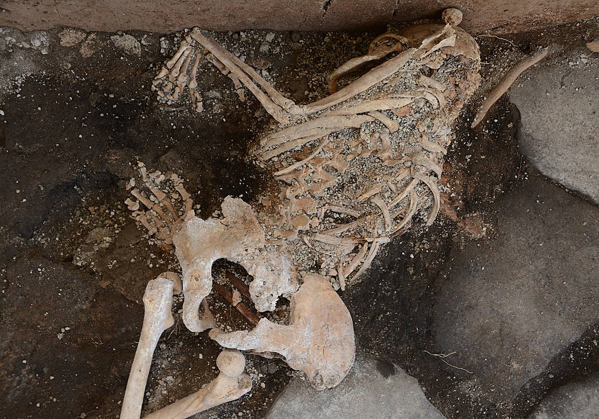 Esqueleto de una de las dos mujeres encontrado en Pompeya