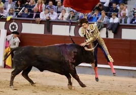 Castella y las plumas de la épica: un toro le atraviesa el muslo y aguanta con la cornada hasta el final