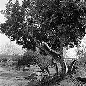 Fina Miralles, el arte de la rebeldía