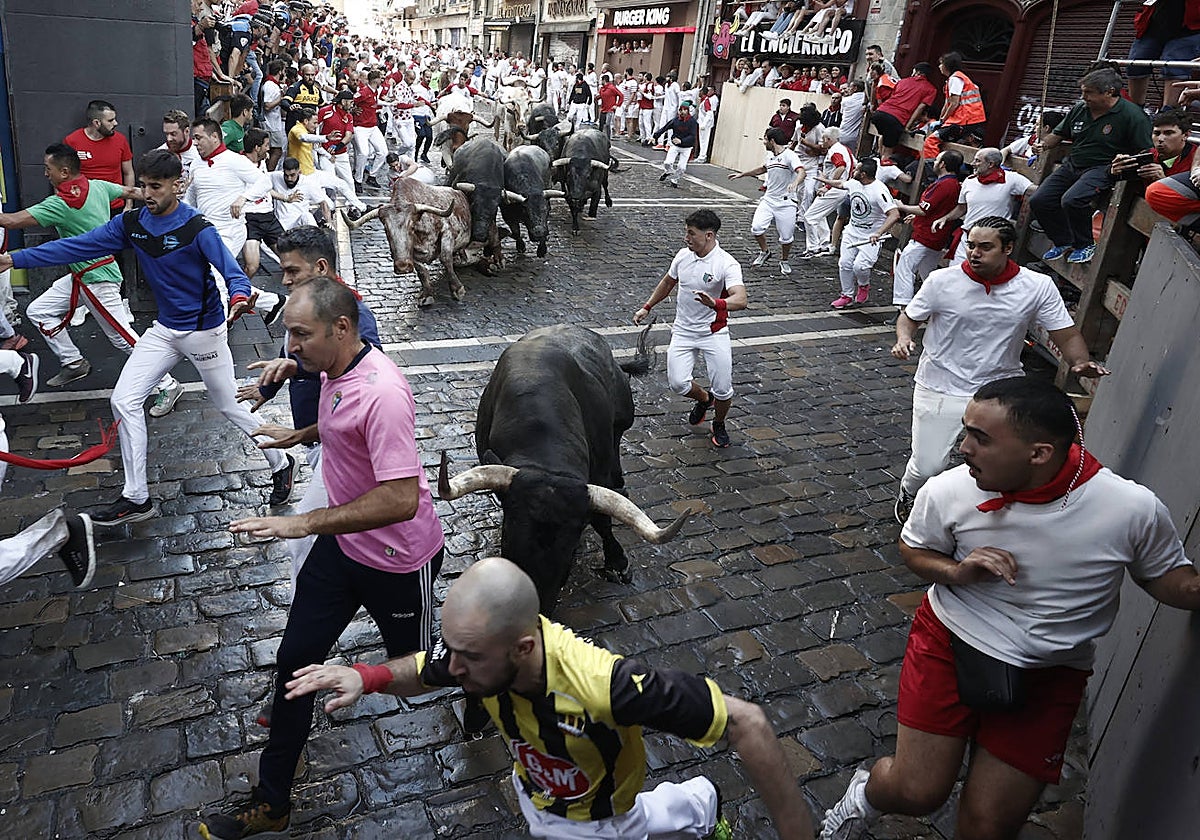 Los toros de José Escolar a su paso por Mercaderes