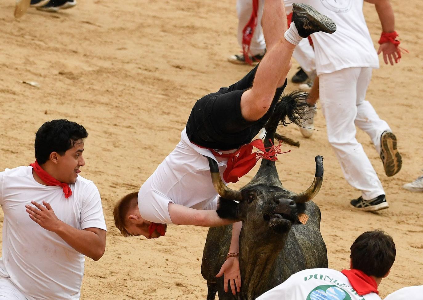 Otro corredor es alzado en el aire por una vaca joven después del "encierro" de las fiestas de San Fermín 