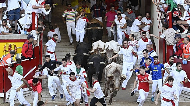 Momento en el que los astados han accedido a la plaza de toros