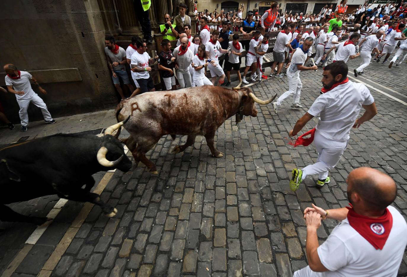 Fotogalería: quinto encierro de los Sanfermínes 2023