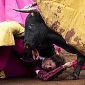 El desafío a la muerte de un imponente Roca Rey, cogido por sus dos toros