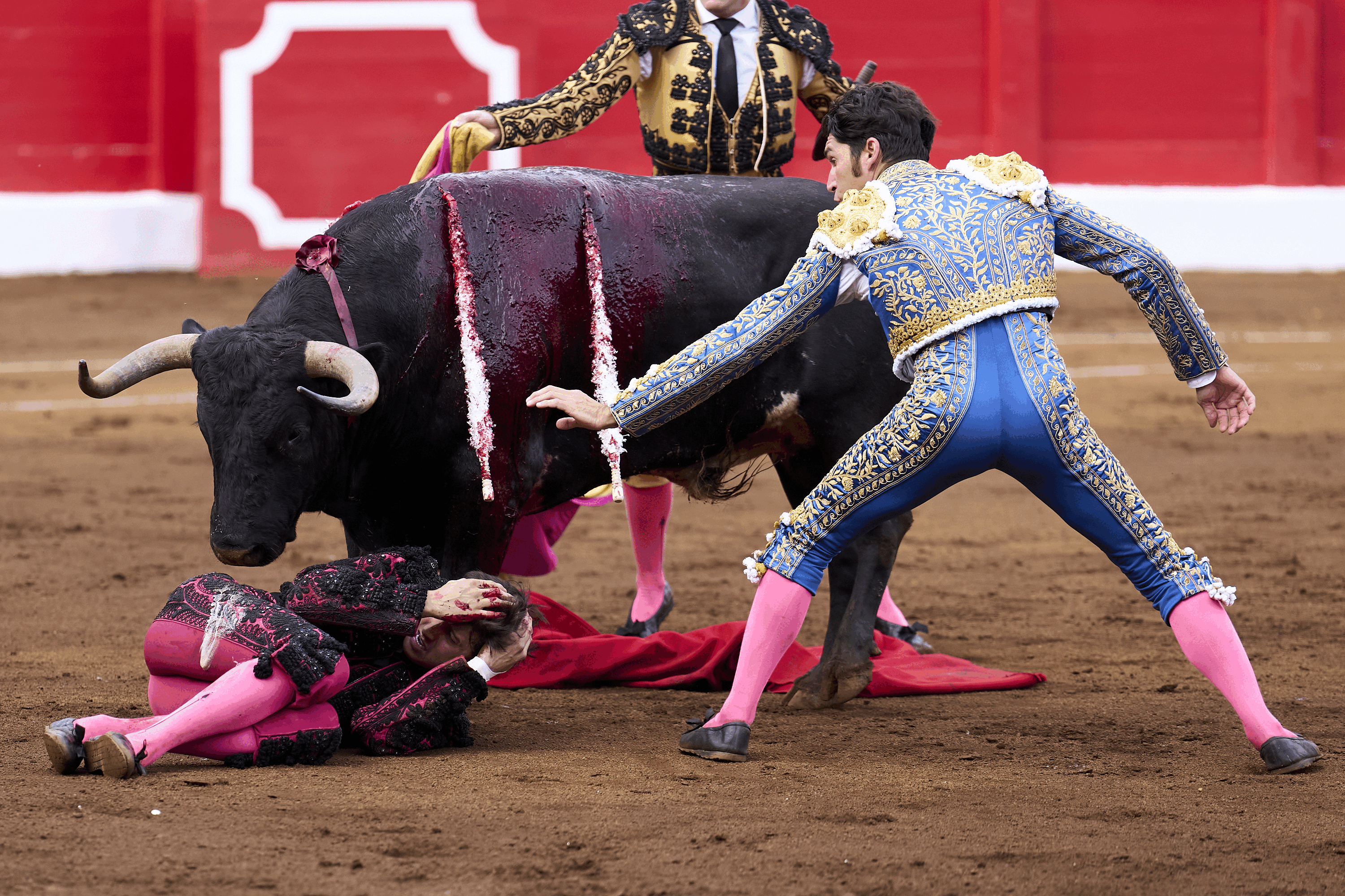 Cayetano se juega la vida para salvar la de Roca Rey y acaba con una costilla rota