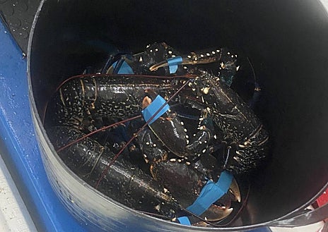 Imagen secundaria 1 - Una noche en... un pesquero: «Ya nadie quiere trabajar en el mar, la juventud prefiere estudiar»