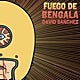 Imagen principal - Fuego de Bengala