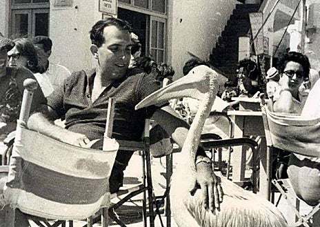 Imagen secundaria 1 - Petros, el pelícano de Mikonos y la inmortalidad