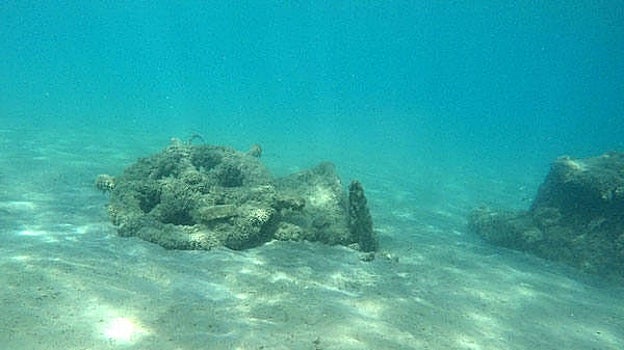 Timón sumergido cerca de Sapientza