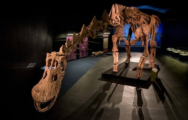 Réplica completa del mayor dinosaurio descubierto hasta el momento,
