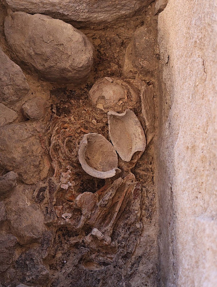 Imagen - Los restos del niño hallado en la tumba 149