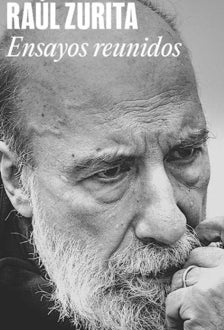 Imagen - 'Ensayos reunidos'