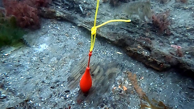 Detalle de la estructura de la sentina