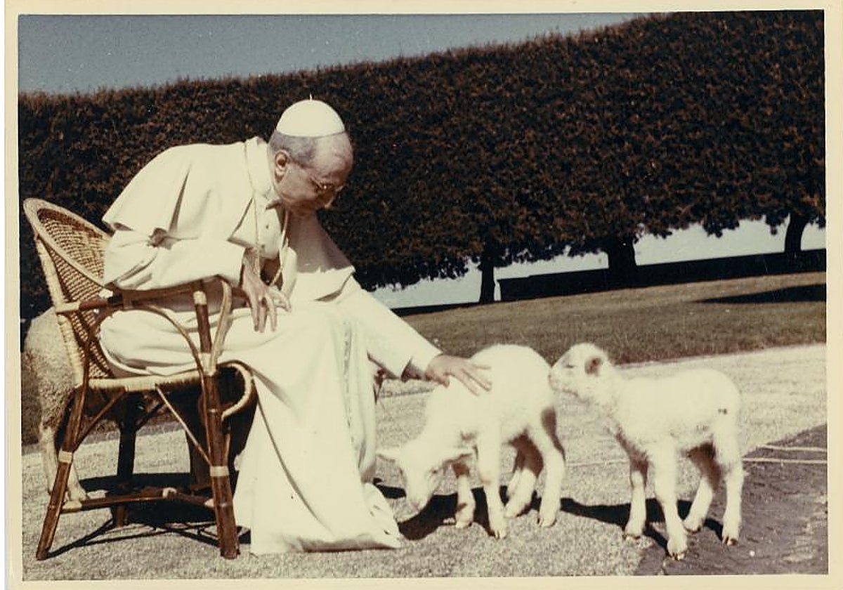 El Papa Pío XII, durante unos días de descanso en la residencia de Castel Gandolfo (ca. 1950)