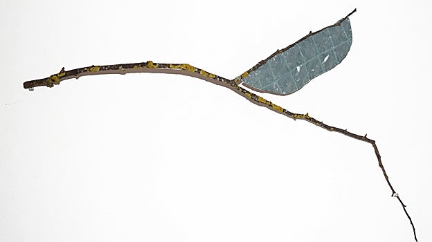 Rama invadida por patchwork. 'A Strange Fairy Tale'. Múnich, 2022