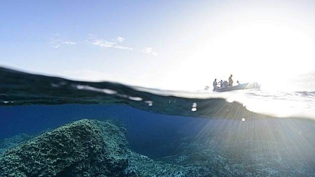 En el arrecife Keith de los bancos Skerki