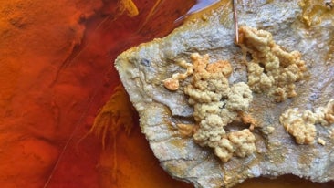 'Remedios: por los caminos ancestrales'