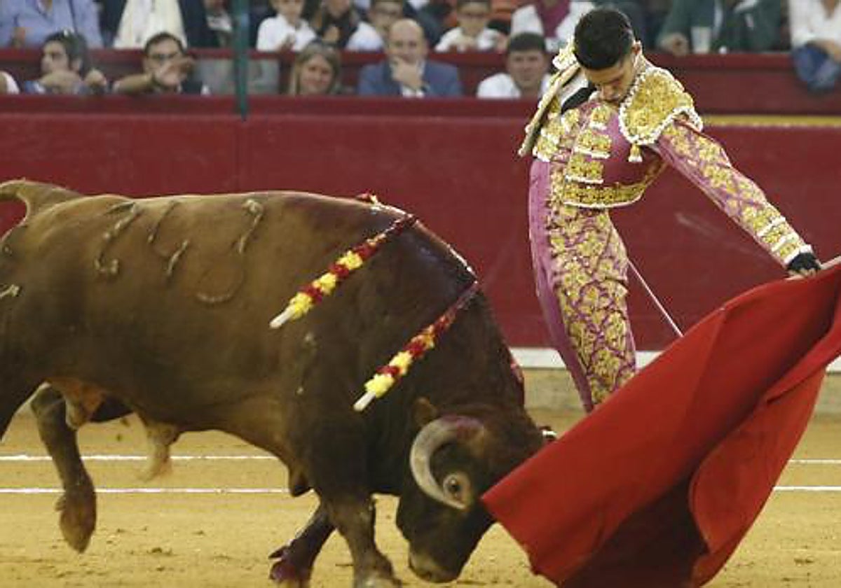 Alejandro Talavante, al natural en Zaragoza